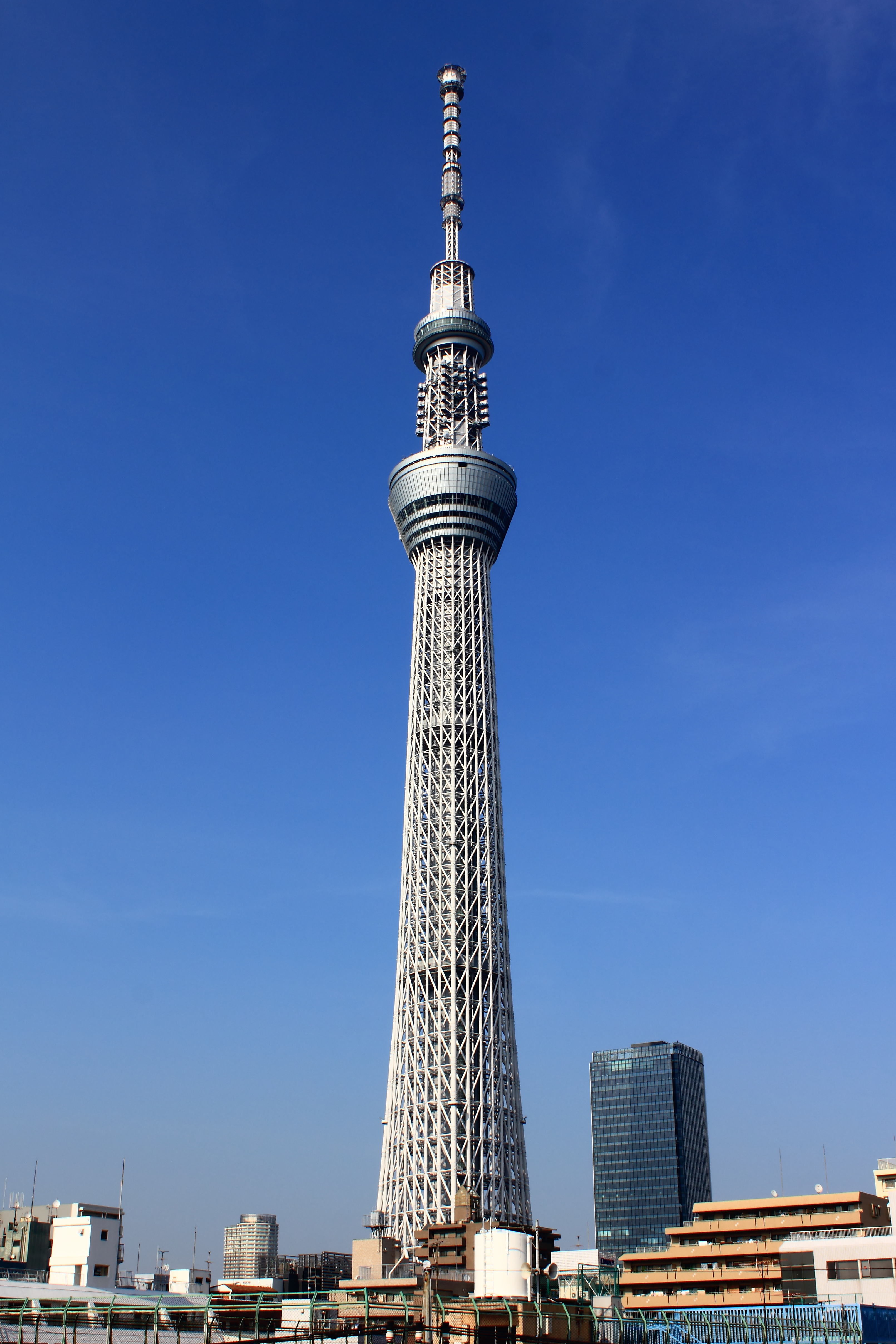 ground view of skytree